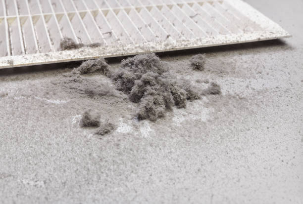 Best Dryer Vent Cleaning Services  in Lockhart, FL