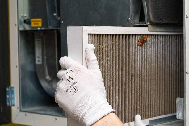 Best HVAC System Cleaning  in Lockhart, FL